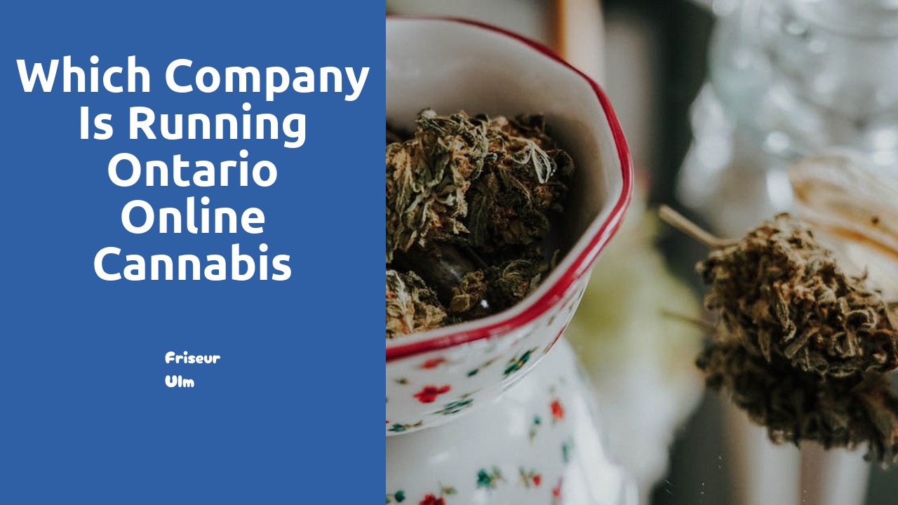 Which company is running Ontario online cannabis sales?